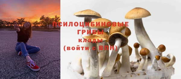 мдма Володарск